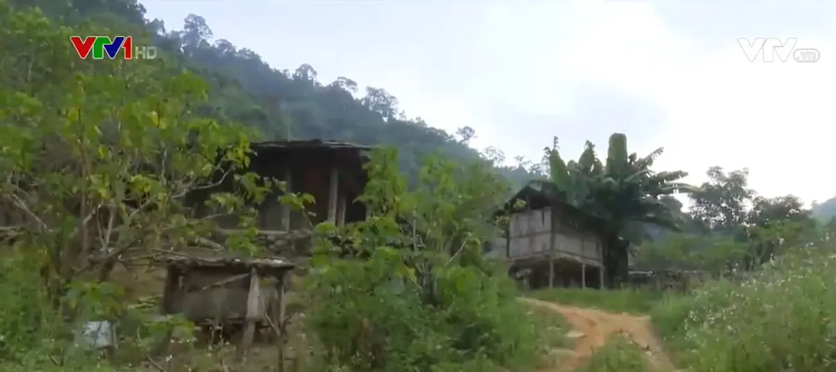 Th&ocirc;n bản ngh&egrave;o v&ugrave;ng d&acirc;n tộc miền n&uacute;i chờ điện như chờ bố mẹ - Ảnh 1.
