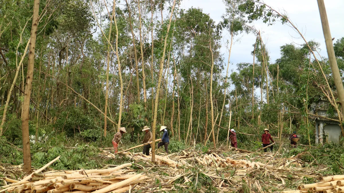 Phó Thủ tướng yêu cầu tập trung khắc phục hậu quả bão số 5 và ứng phó với mưa lũ - Ảnh 4.