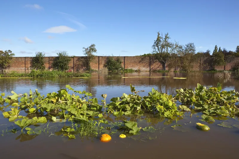 La Nina sẽ tạo ra điều gì trong năm 2020? - Ảnh 2.