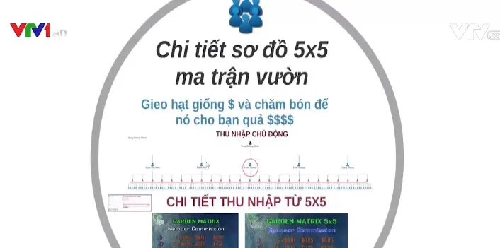 Mạng xã hội đến từ Thụy Sĩ Vitae: Ma trận quyền lực và “bánh vẽ” làm giàu không khó? - Ảnh 2.