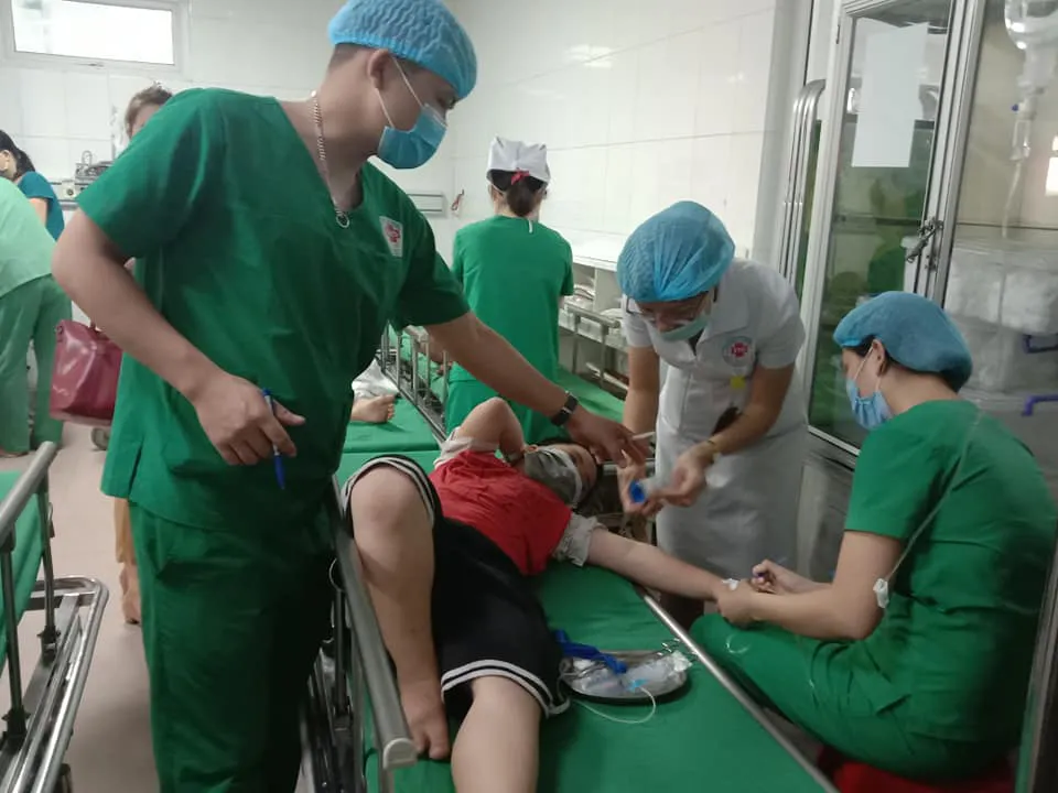 Cấp cứu 16 học sinh tiểu học bị ong đốt - Ảnh 2.