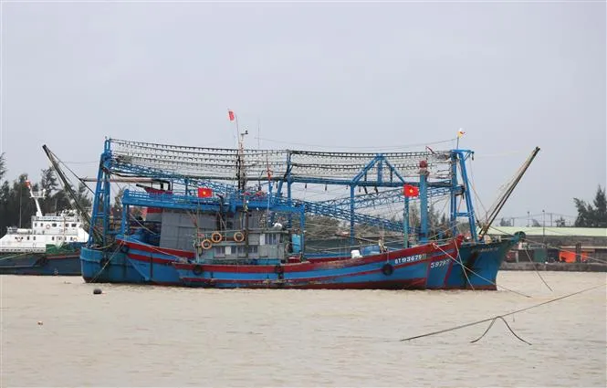 Chuẩn bị sẵn sàng ứng phó với cơn bão Kompasu - Ảnh 3.