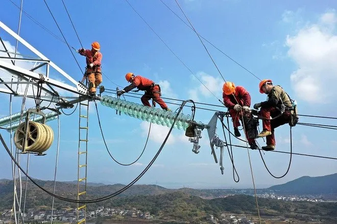 Khủng hoảng điện ở Trung Quốc: Thiên nga đen hay tê giác xám?  - Ảnh 1.