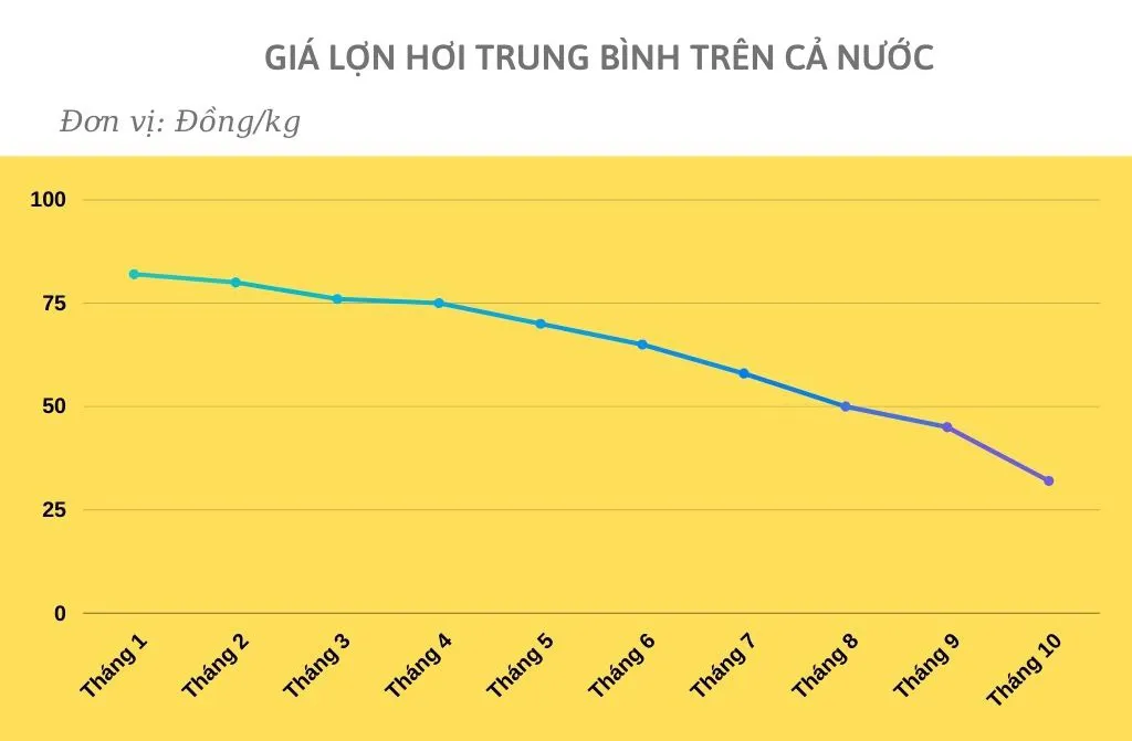 Giá thịt lợn đã nhảy múa như nào trong 10 tháng qua? - Ảnh 1.