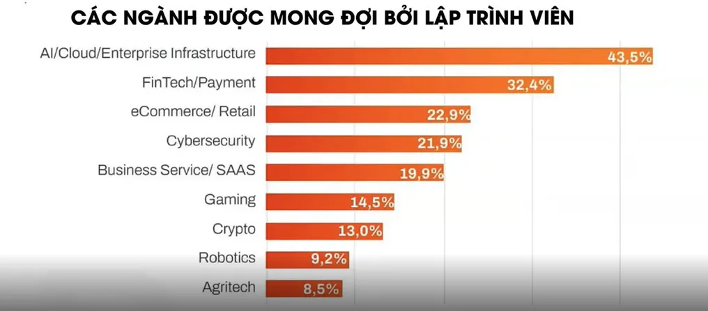 Đi tìm lời giải cho vấn đề cung không đủ cầu về nhân lực của ngành IT - Ảnh 2.