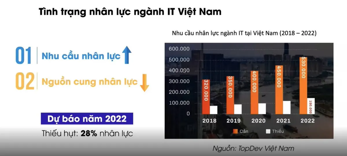 Đi tìm lời giải cho vấn đề cung không đủ cầu về nhân lực của ngành IT - Ảnh 3.