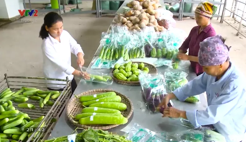 Tọa đàm Vượt bão: Người nông dân biến nguy thành cơ trong nghịch cảnh COVID-19 - Ảnh 6.