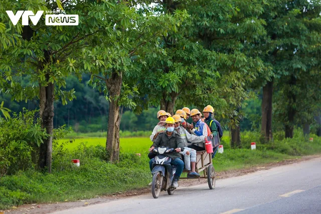 100 cây hoa sữa chuyển về bãi rác Nam Sơn sau 2 năm đã xanh tốt và nở hoa ngào ngạt - Ảnh 11.