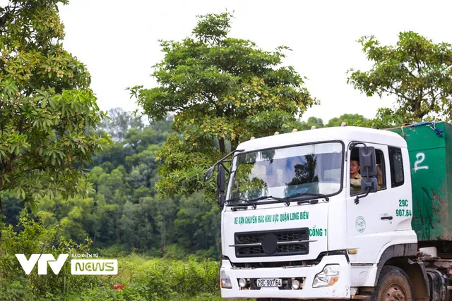 100 cây hoa sữa chuyển về bãi rác Nam Sơn sau 2 năm đã xanh tốt và nở hoa ngào ngạt - Ảnh 3.