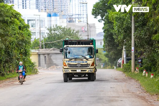 100 cây hoa sữa chuyển về bãi rác Nam Sơn sau 2 năm đã xanh tốt và nở hoa ngào ngạt - Ảnh 4.