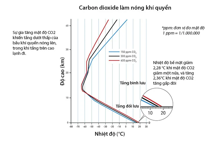 Giải Nobel Vật lý 2021 vinh danh 3 nhà khoa học nghiên cứu các hiện tượng hỗn loạn và có vẻ ngẫu nhiên - Ảnh 1.