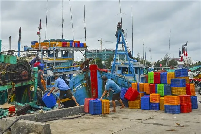 Bình Thuận tăng cường kiểm soát dịch tại khu trung tâm - Ảnh 2.