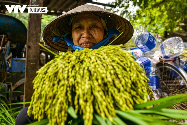 Bếp làng nhộn nhịp vì đặc sản mùa thu Hà Nội - Ảnh 4.