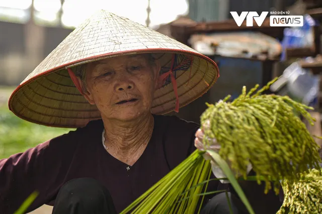 Bếp làng nhộn nhịp vì đặc sản mùa thu Hà Nội - Ảnh 6.