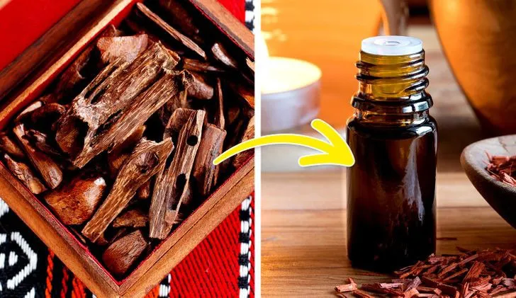 7 liều thuốc tự nhiên “huyền thoại” nuôi dưỡng làn da khỏe đẹp - Ảnh 6.