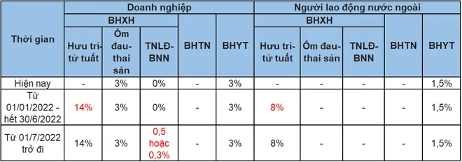 Tuổi nghỉ hưu, lương hưu của người lao động năm 2022 thay đổi như thế nào? - Ảnh 2.