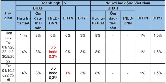 Tuổi nghỉ hưu, lương hưu của người lao động năm 2022 thay đổi như thế nào? - Ảnh 1.