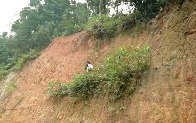 Cặp lá yêu thương: Ngôi nhà thứ hai - Ảnh 1.