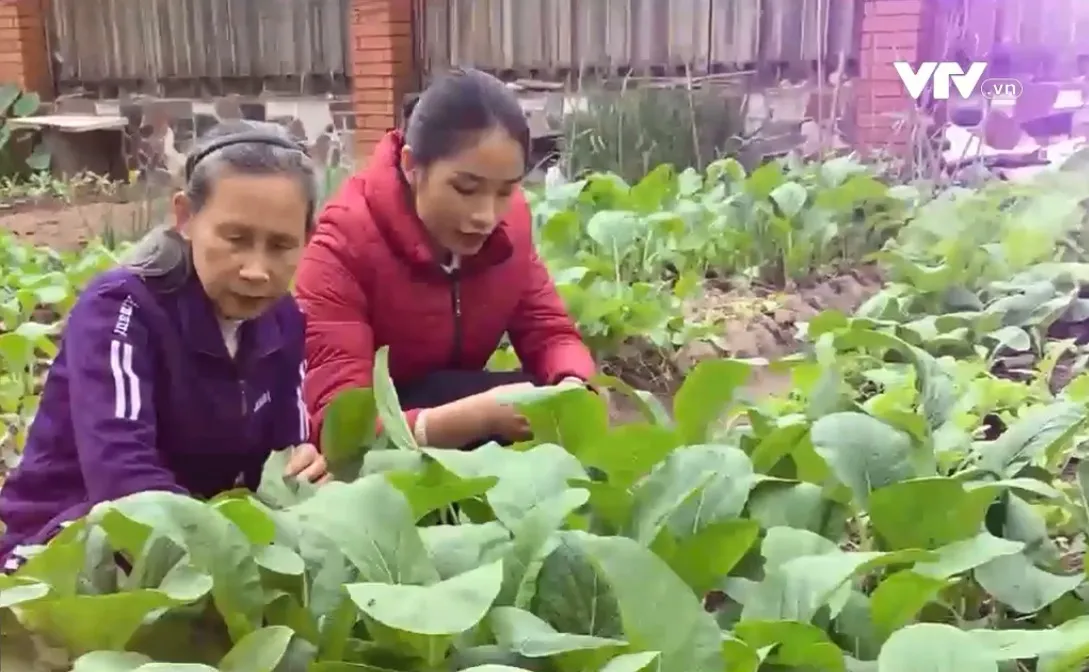 Những trái ngọt của làng trẻ SOS Hải Phòng - Ảnh 1.