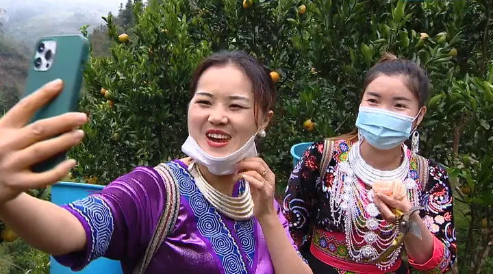 B&agrave; con d&acirc;n tộc tỉnh L&agrave;o Cai b&aacute;n 5 - 8 tạ qu&yacute;t trong buổi livestream - Ảnh 1.