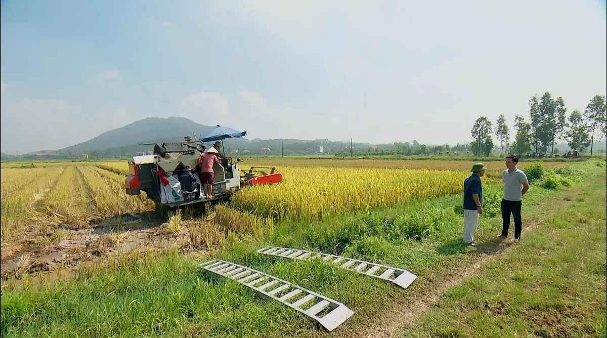 Phố trong làng - Tập 16: Màn tỏ tình ngọt như mía lùi của Đông và Hải - Ảnh 5.