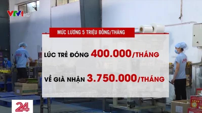 Ồ ạt rút bảo hiểm xã hội 1 lần: Nỗi lo khi tuổi già không lương hưu - Ảnh 3.