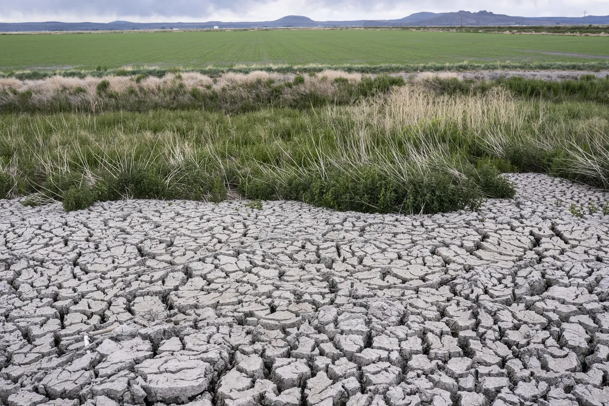 California dựa vào khí đốt tự nhiên để thắp sáng trong mùa đông này - Ảnh 1.