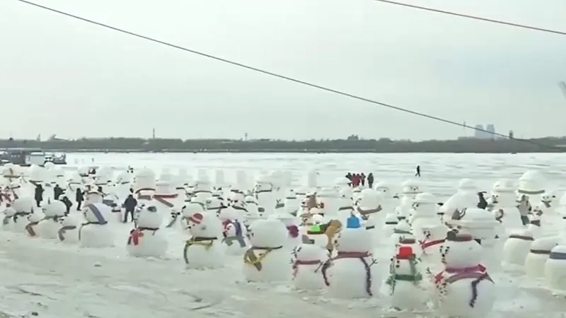 Nhiệt độ tại Bắc Kinh (Trung Quốc) đột ngột xuống dưới 0 - Ảnh 1.