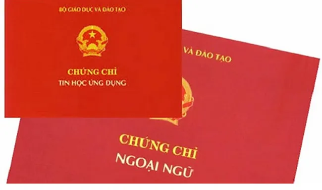 Nhiều chính sách mới có hiệu lực từ tháng 12/2021 - Ảnh 2.