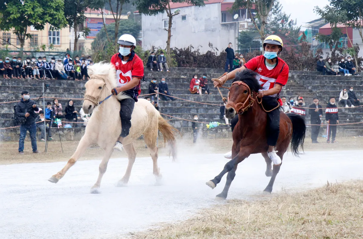 L&ecirc;n L&agrave;o Cai xem đua ngựa Bắc H&agrave; - Ảnh 2.