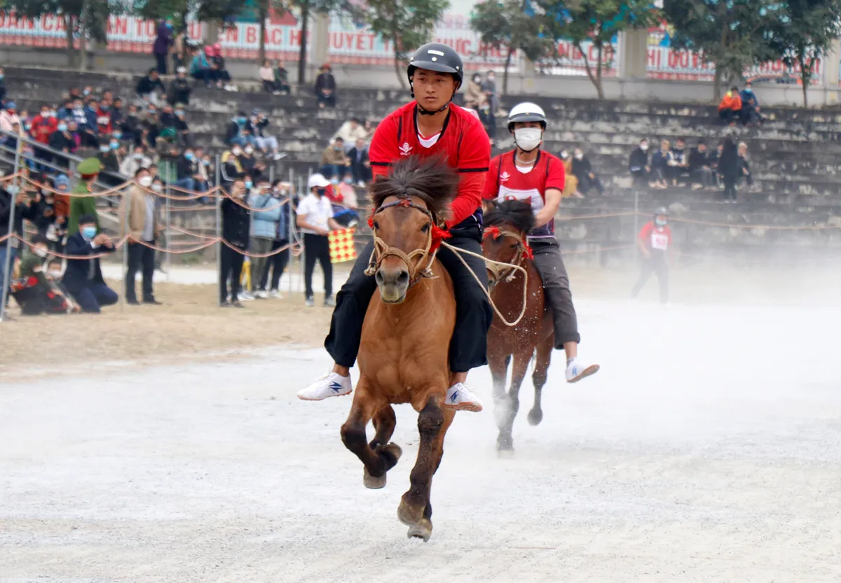 L&ecirc;n L&agrave;o Cai xem đua ngựa Bắc H&agrave; - Ảnh 1.
