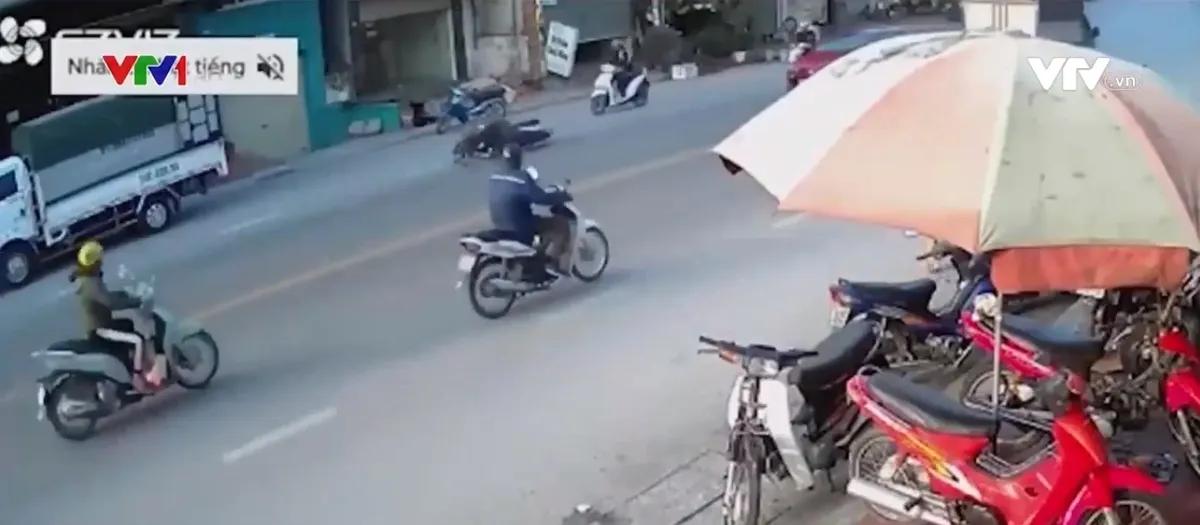 Cảnh báo tai nạn do vật nuôi băng qua đường bất ngờ - Ảnh 1. Cảnh báo tai nạn do vật nuôi băng qua đường bất ngờ - Ảnh 1.