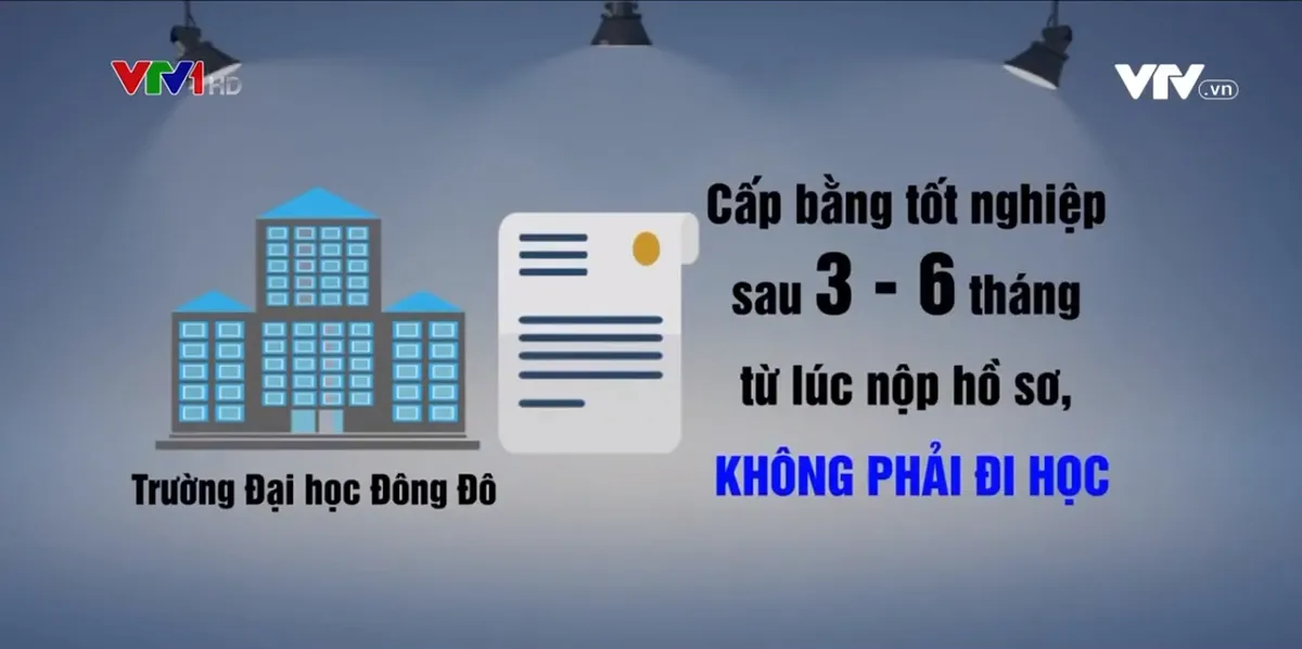 Bằng giả - nỗi đau thật - Ảnh 1.