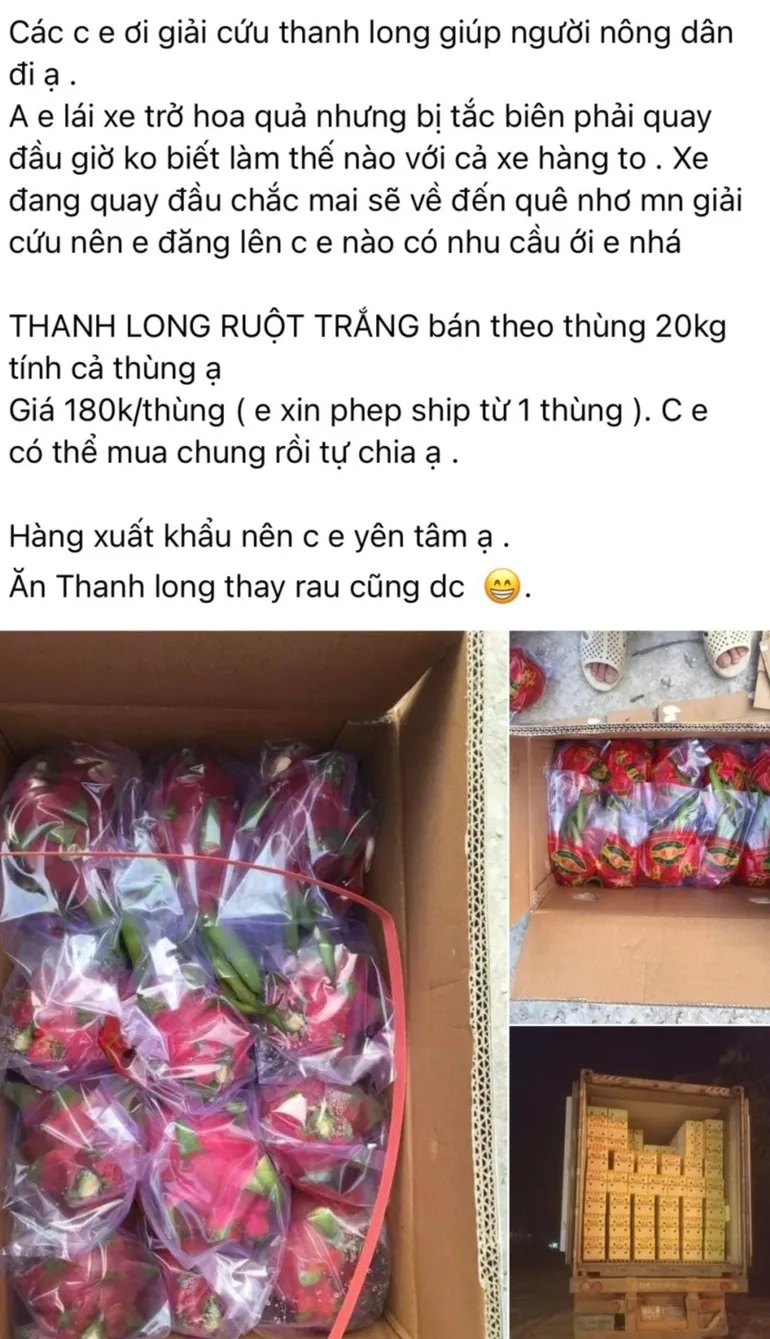 Ùn ứ cửa khẩu: Trăm xe nông sản “cực chẳng đã” quay đầu, bán rẻ giải cứu - Ảnh 1.