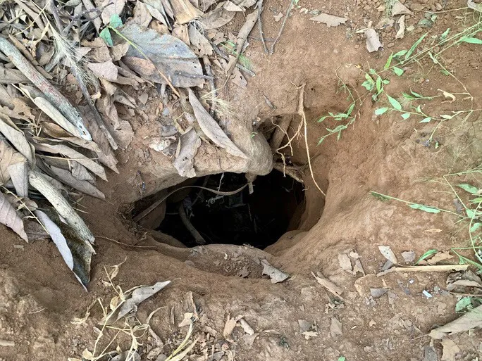 Nghi phạm s&aacute;t hại, trốn c&ugrave;ng thi thể c&ocirc; g&aacute;i dưới giếng khai g&igrave;? - Ảnh 1.