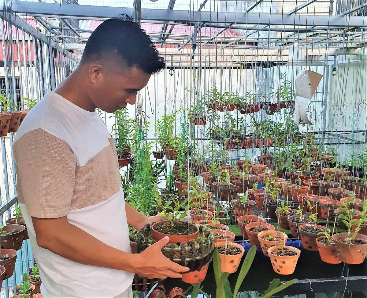 Nghệ nh&acirc;n Ng&ocirc; Gia B&igrave;nh: Thị trường hoa lan c&oacute; nhiều lợi thế để ph&aacute;t triển - Ảnh 2.