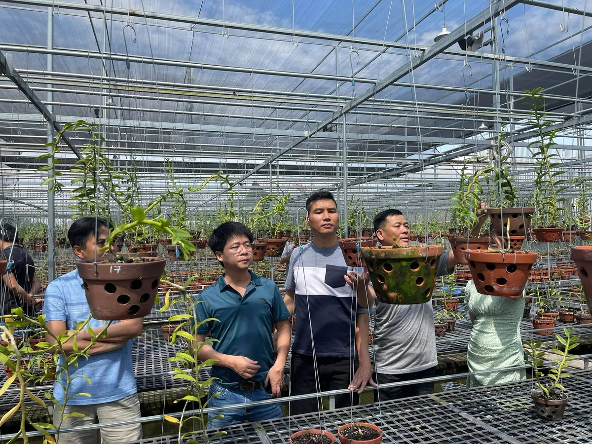 Nghệ nh&acirc;n Ng&ocirc; Gia B&igrave;nh: Thị trường hoa lan c&oacute; nhiều lợi thế để ph&aacute;t triển - Ảnh 3.