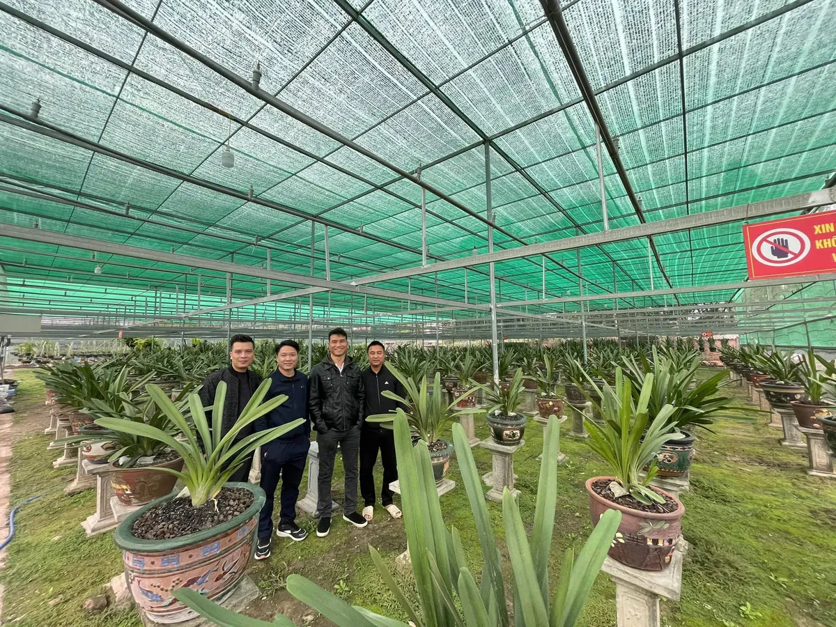 Nghệ nh&acirc;n Ng&ocirc; Gia B&igrave;nh: Thị trường hoa lan c&oacute; nhiều lợi thế để ph&aacute;t triển - Ảnh 4.