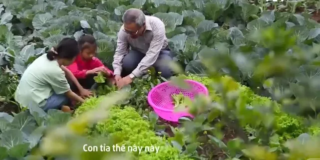 &Ocirc;ng Bụt của gần 300 số phận bất hạnh - Ảnh 1.