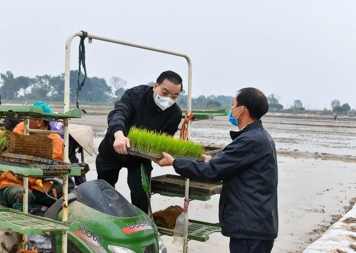 Bí thư và Chủ tịch TP Hà Nội xuống đồng động viên nông dân sản xuất - Ảnh 4.