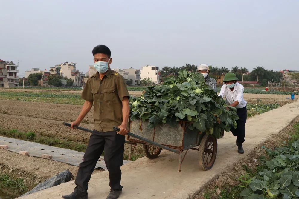 Kiến nghị Thủ tướng chỉ đạo các địa phương không ngăn sông cấm chợ - Ảnh 1.