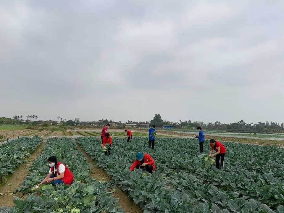 Triển khai chiến dịch “Chung sức cùng người dân tiêu thụ nông sản - Ảnh 3.