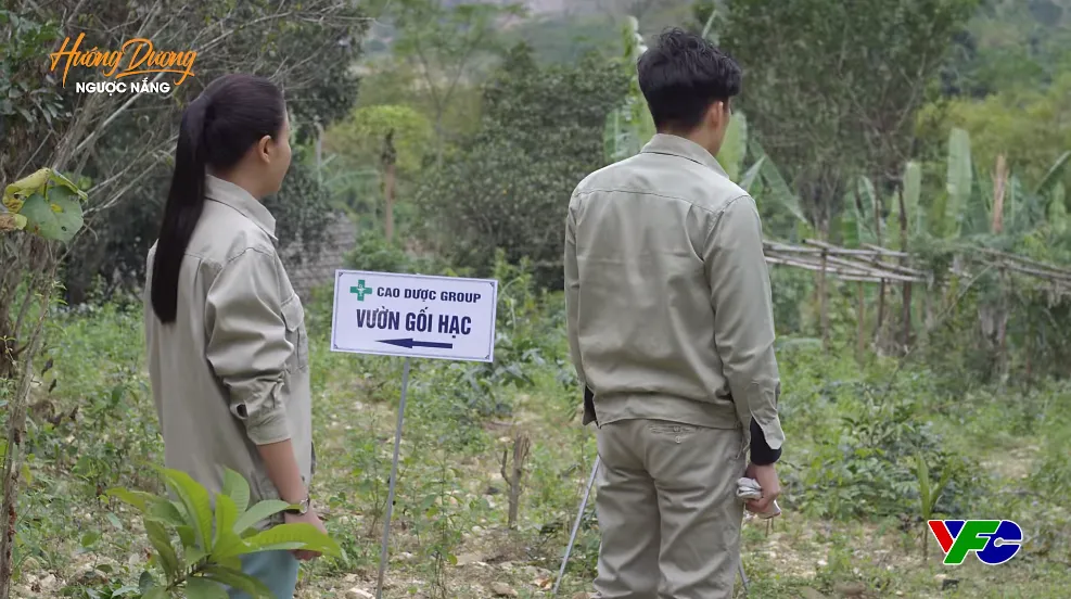 Hướng dương ngược nắng - Tập 41: Có là con cháu Cao gia đi chăng nữa, Minh cũng đừng hòng sống được ở đất này! - Ảnh 1.