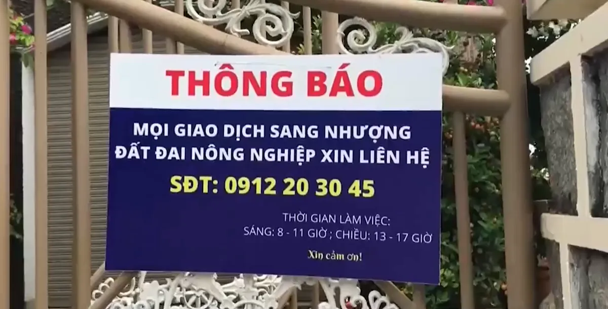 Ồ ạt thu gom đất trồng lúa để đón đầu các dự án - Ảnh 1.