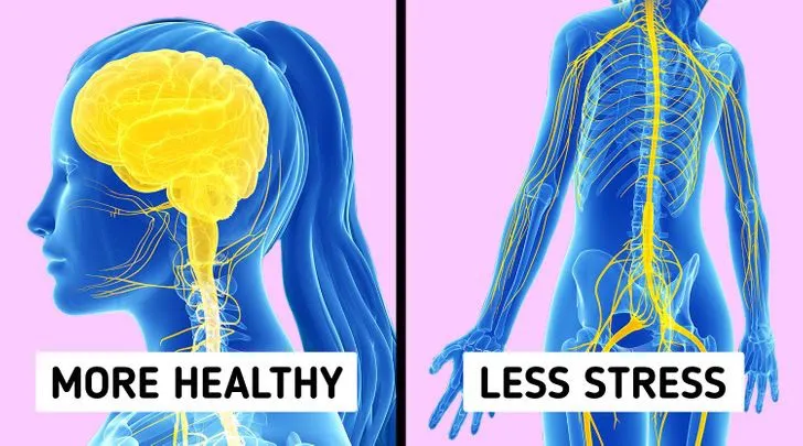 Luyện tập đôi chân săn chắc có thể giảm quá trình lão hóa não - Ảnh 3.