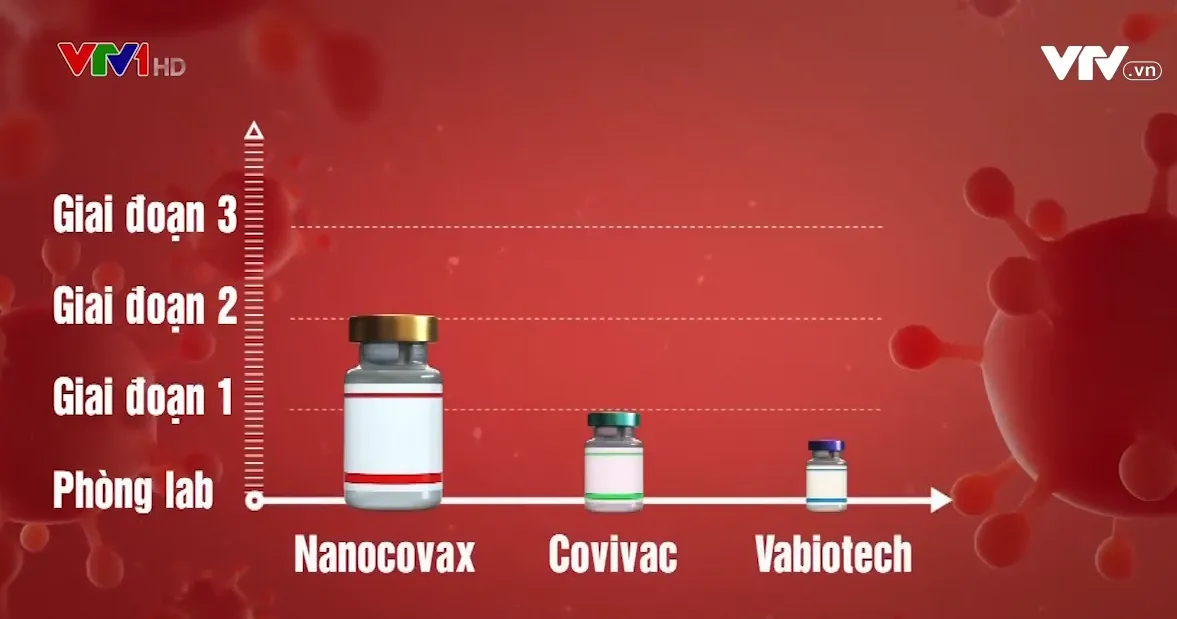 Vaccine là tấm khiên toàn năng đẩy lùi được dịch bệnh COVID-19? - Ảnh 1.
