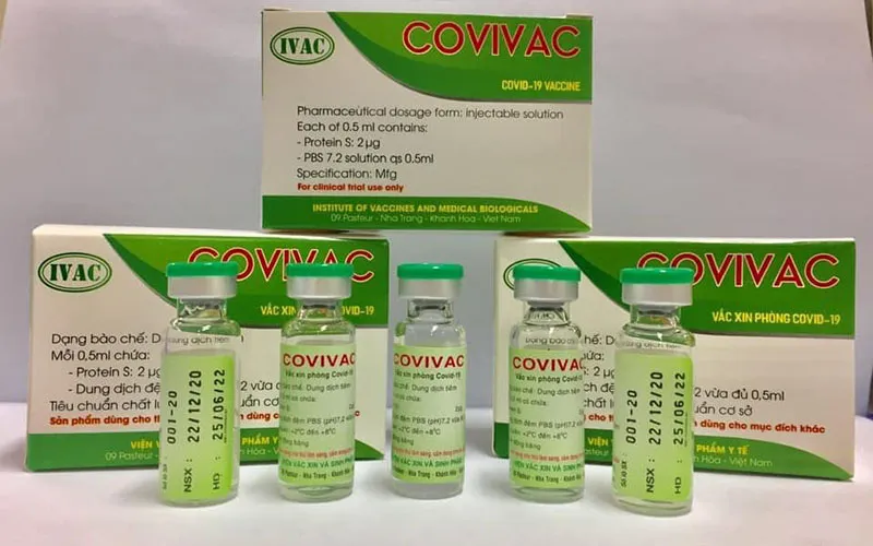 Vaccine COVID-19 Covivac chuẩn bị thử nghiệm lâm sàng giai đoạn 1 - Ảnh 1.