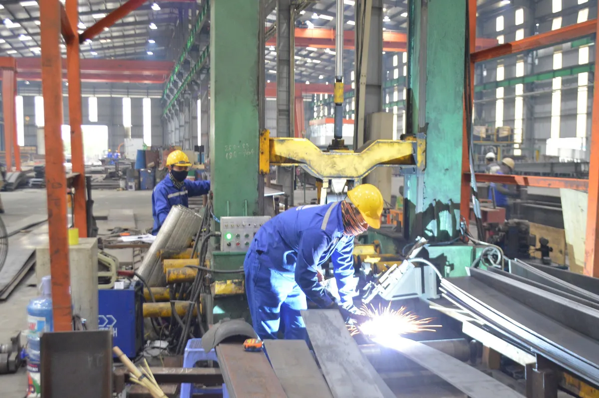 Đại b&agrave;ng mở rộng tổ tại Việt Nam - Ảnh 2.