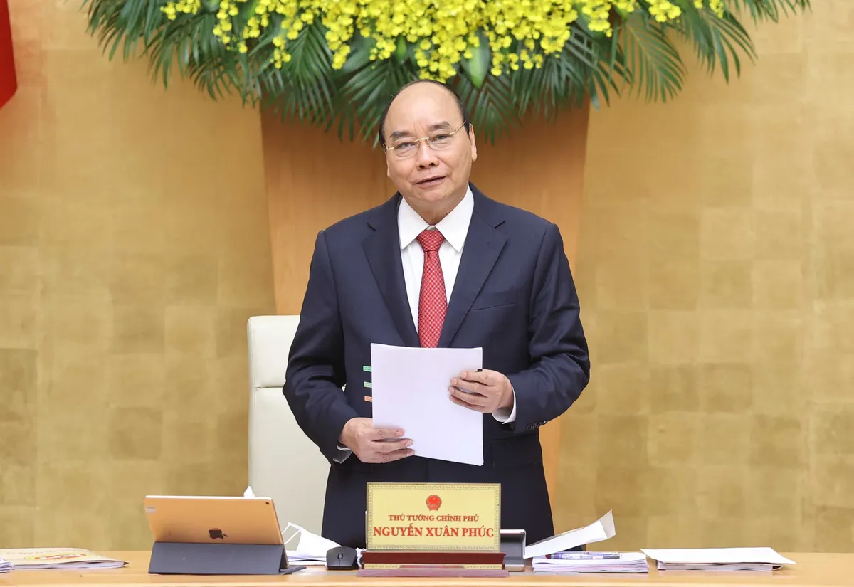 Đại b&agrave;ng mở rộng tổ tại Việt Nam - Ảnh 1.