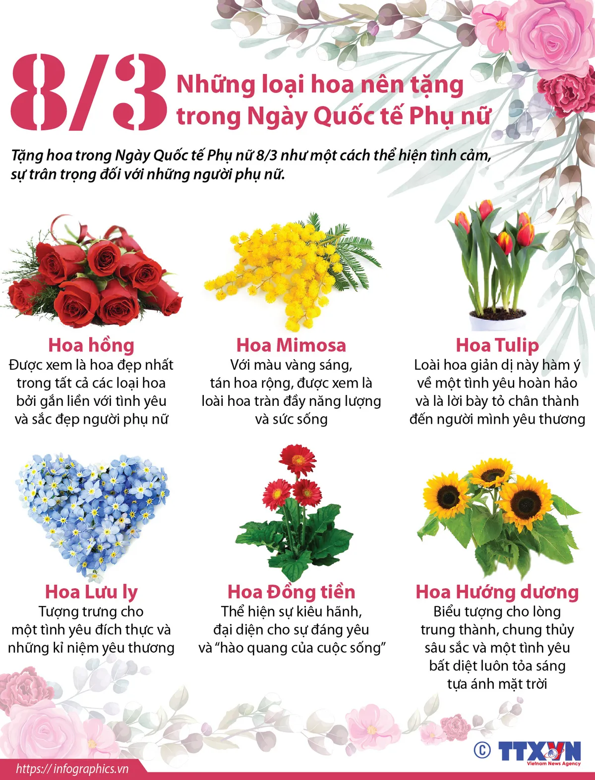 Những loại hoa nên tặng trong Ngày Quốc tế Phụ nữ 8/3 - Ảnh 1.